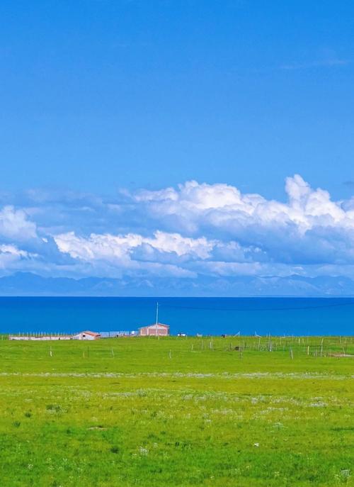 Shenzhen Fire Department dismisses speculation about crossborder assistance